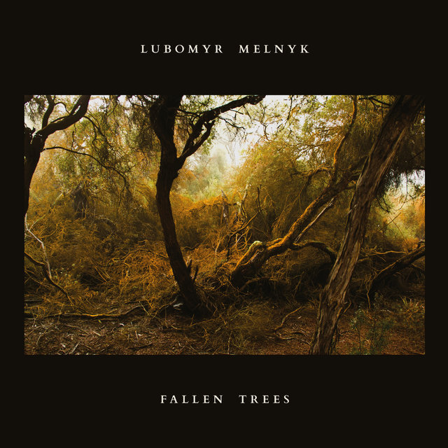 Couverture de Fallen Trees