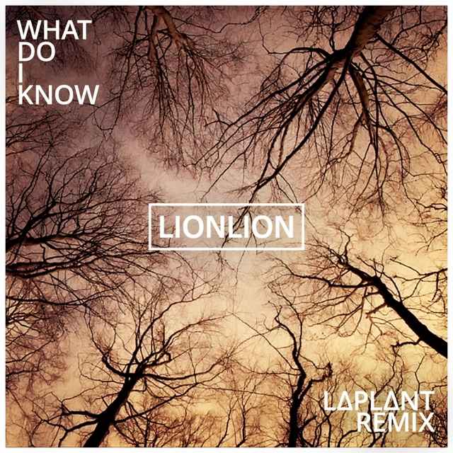 Couverture de What Do I Know