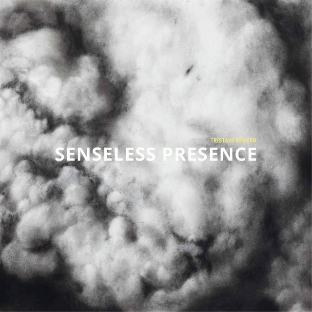 Couverture de Senseless Presence