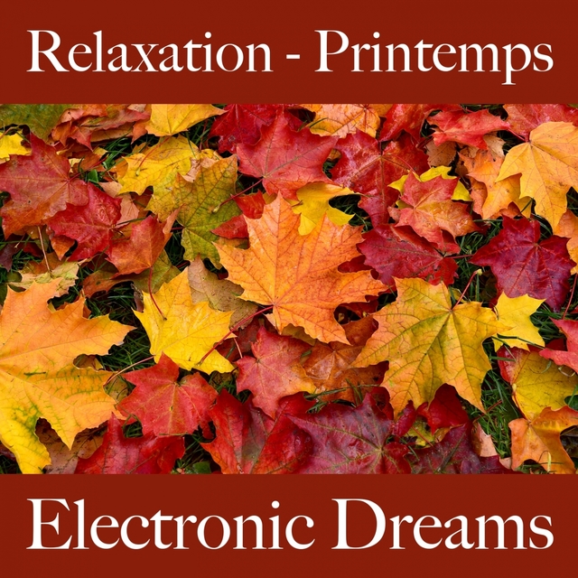 Relaxation - Printemps: Electronic Dreams - La Meilleure Musique Pour Se Détendre