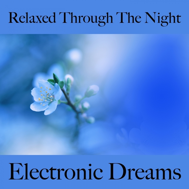 Relaxed Through The Night: Electronic Dreams - The Best Music For Relaxation