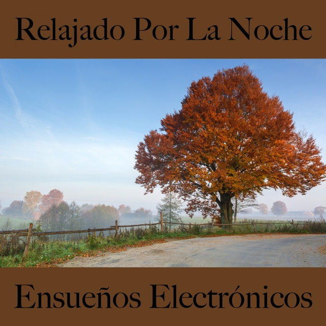 Relajado Por La Noche: Ensueños Electrónicos - La Mejor Música Para Relajarse