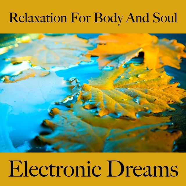 Relaxation For Body And Soul: Electronic Dreams - The Best Music For Relaxation