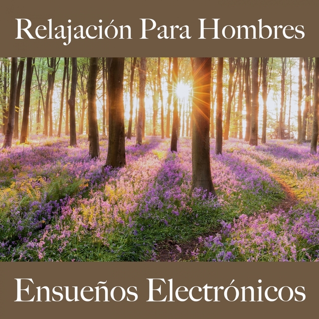 Relajación Para Hombres: Ensueños Electrónicos - La Mejor Música Para Relajarse