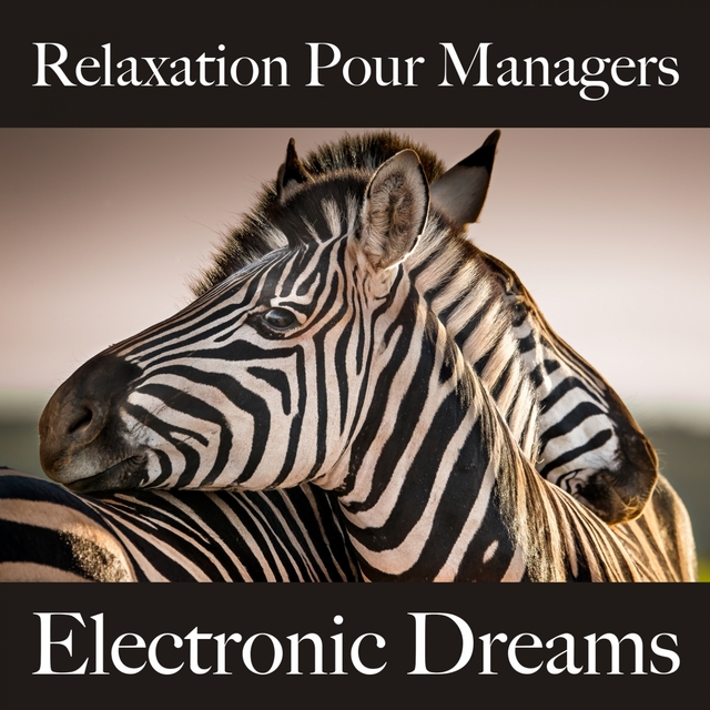 Relaxation Pour Managers: Electronic Dreams - La Meilleure Musique Pour Se Détendre