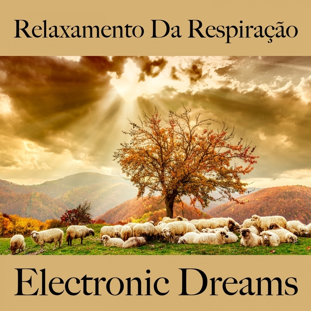 Relaxamento Da Respiração: Electronic Dreams - A Melhor Música Para Relaxar