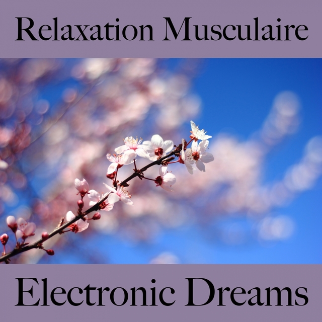 Relaxation Musculaire: Electronic Dreams - La Meilleure Musique Pour Se Détendre