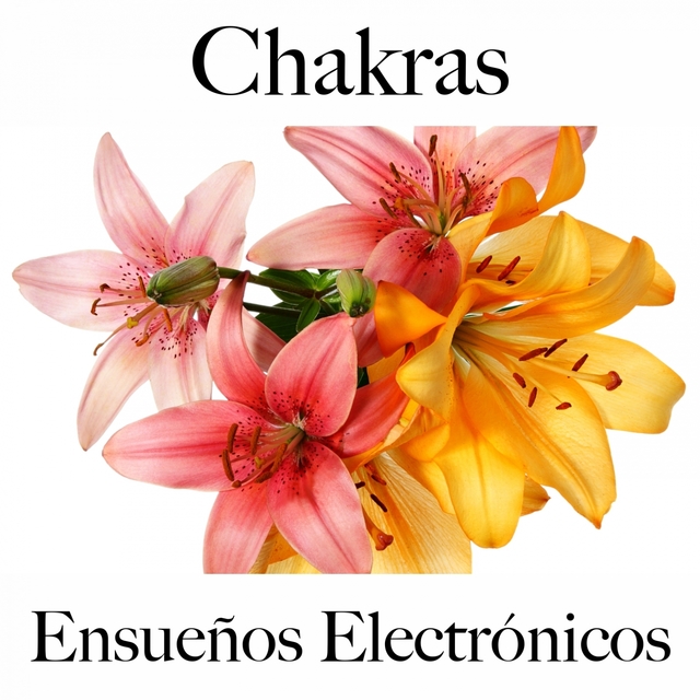 Chakras: Ensueños Electrónicos - La Mejor Música Para Relajarse