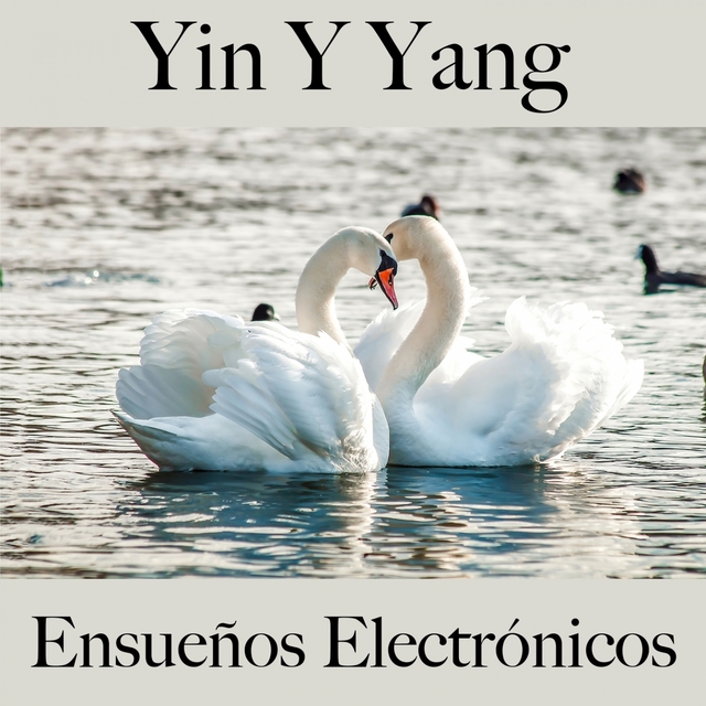 Yin Y Yang: Ensueños Electrónicos - La Mejor Música Para Relajarse