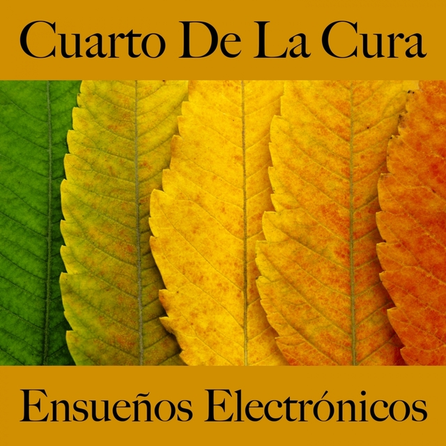 Cuarto De La Cura: Ensueños Electrónicos - La Mejor Música Para Relajarse