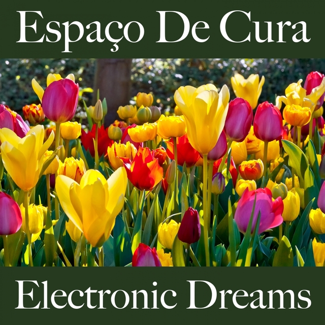 Espaço De Cura: Electronic Dreams - A Melhor Música Para Relaxar