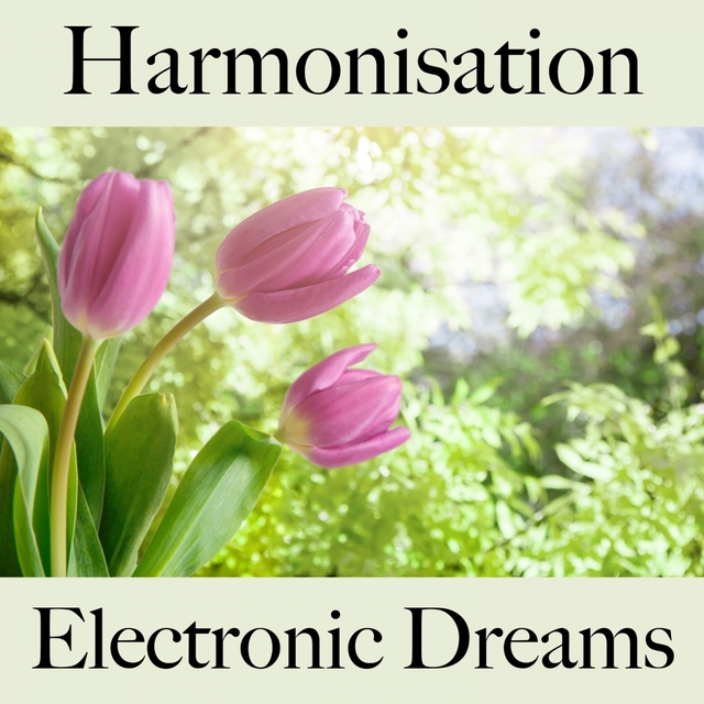 Harmonisation: Electronic Dreams - La Meilleure Musique Pour Se Détendre