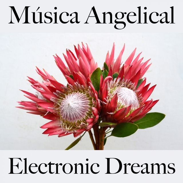 Música Angelical: Electronic Dreams - A Melhor Música Para Relaxar