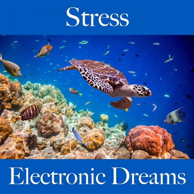 Stress: Electronic Dreams - The Best Music For Relaxation