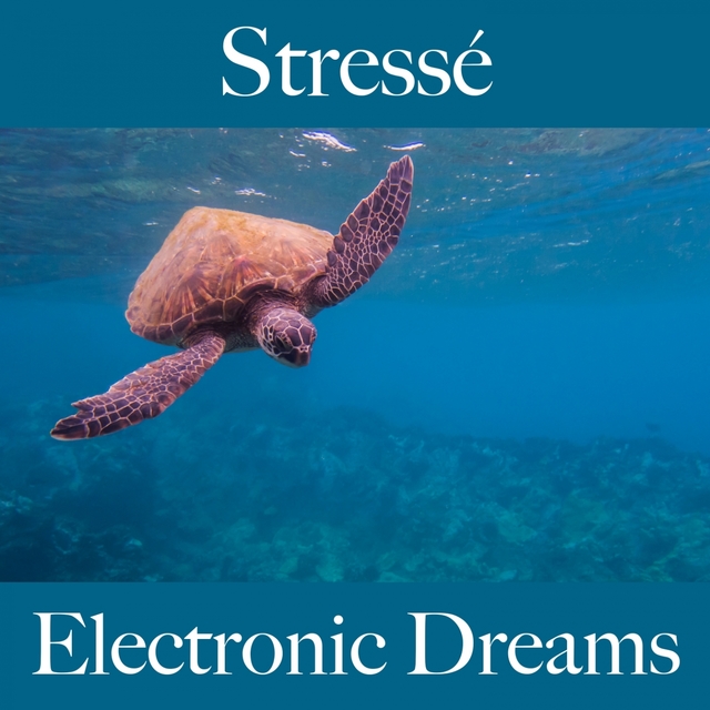 Stressé: Electronic Dreams - La Meilleure Musique Pour Se Détendre