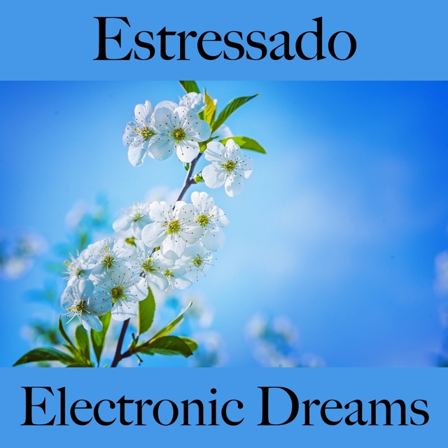 Estressado: Electronic Dreams - A Melhor Música Para Relaxar