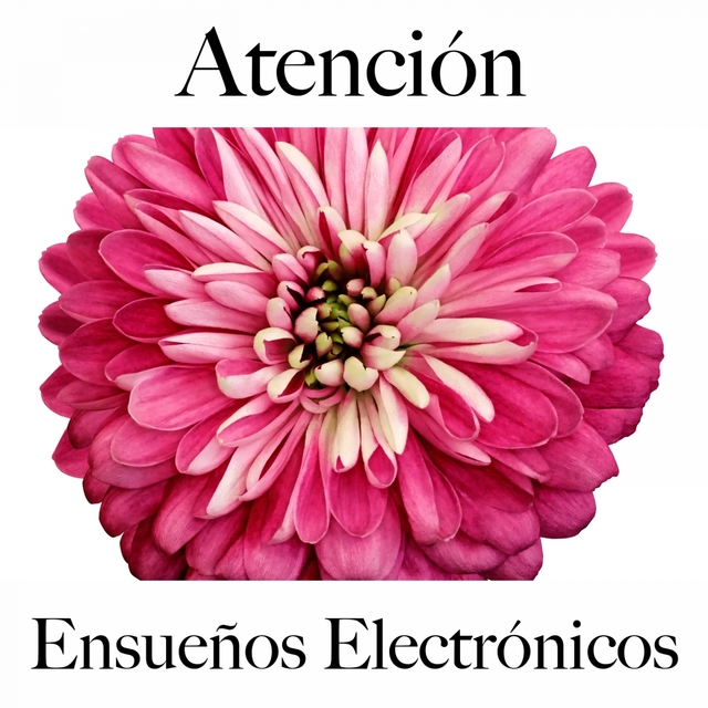 Atención: Ensueños Electrónicos - La Mejor Música Para Relajarse