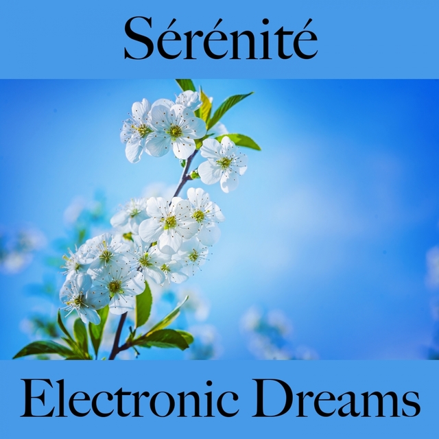 Sérénité: Electronic Dreams - La Meilleure Musique Pour Se Détendre