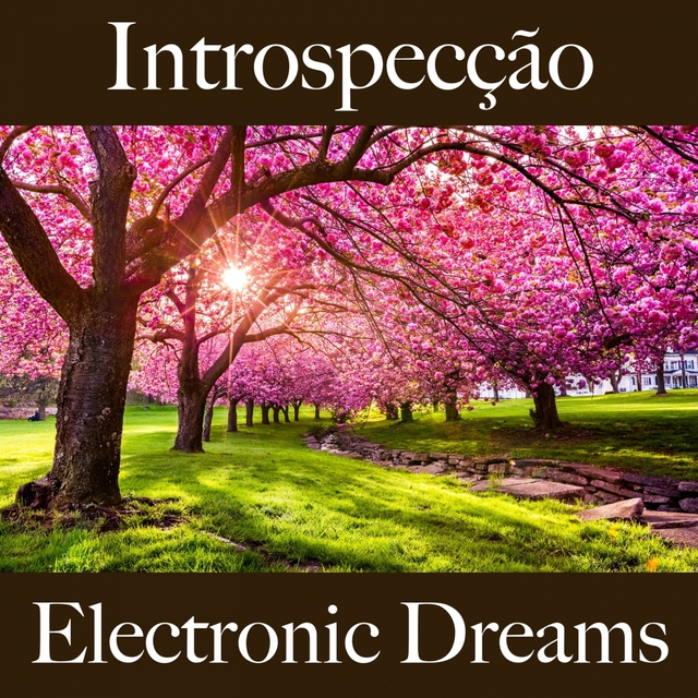 Introspecção: Electronic Dreams - A Melhor Música Para Relaxar