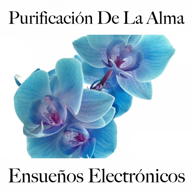 Purificación De La Alma: Ensueños Electrónicos - La Mejor Música Para Relajarse