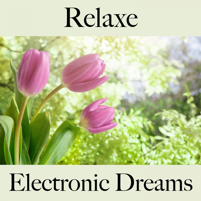 Relaxe: Electronic Dreams - A Melhor Música Para Relaxar