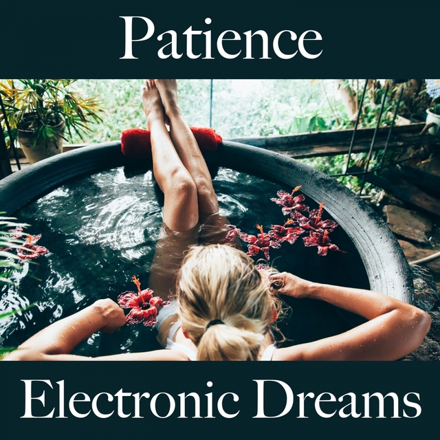 Patience: Electronic Dreams - La Meilleure Musique Pour Se Détendre