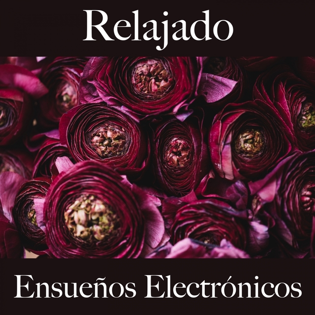 Relajado: Ensueños Electrónicos - La Mejor Música Para Relajarse