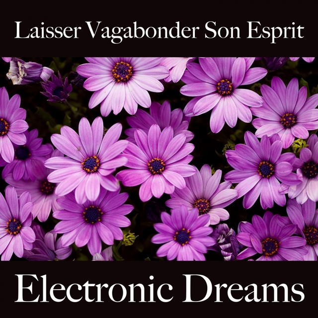 Laisser Vagabonder Son Esprit: Electronic Dreams - La Meilleure Musique Pour Se Détendre
