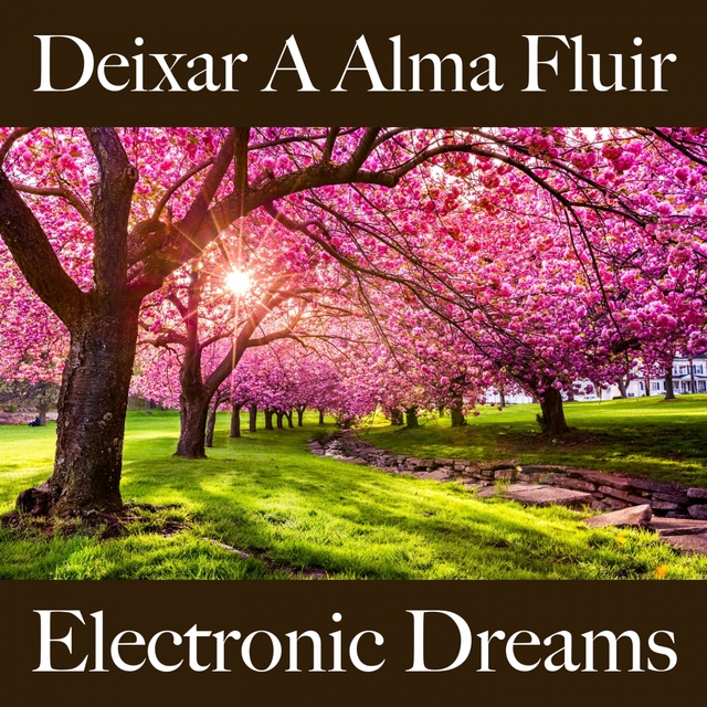 Deixar A Alma Fluir: Electronic Dreams - A Melhor Música Para Relaxar