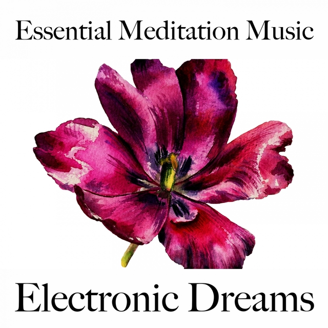 Essential Meditation Music: Electronic Dreams - The Best Music For Relaxation