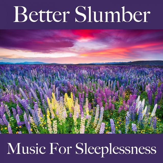 Better Slumber: Music For Sleeplessness: Electronic Dreams - The Best Music For Relaxation