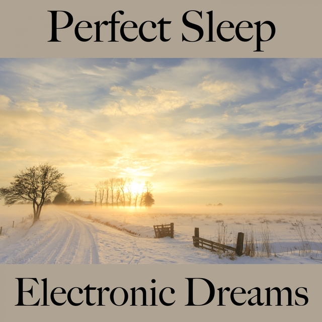 Perfect Sleep: Electronic Dreams - The Best Music For Relaxation