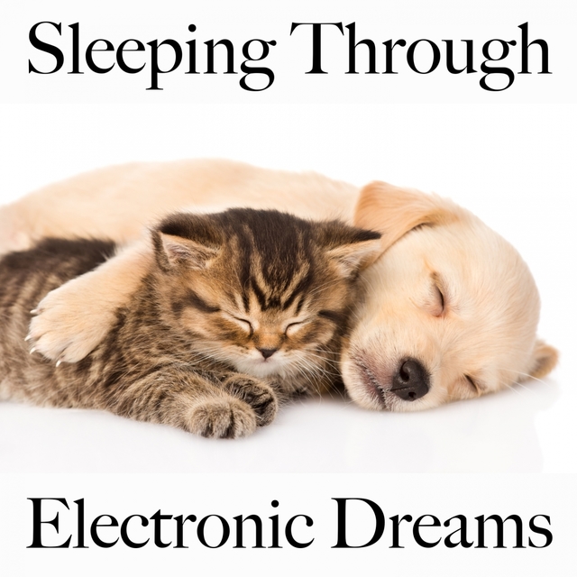 Sleeping Through: Electronic Dreams - The Best Music For Relaxation