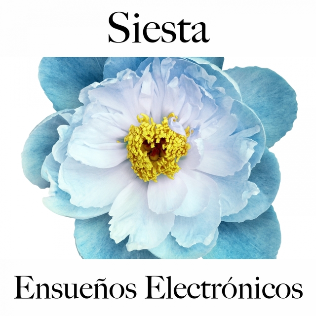 Siesta: Ensueños Electrónicos - La Mejor Música Para Relajarse