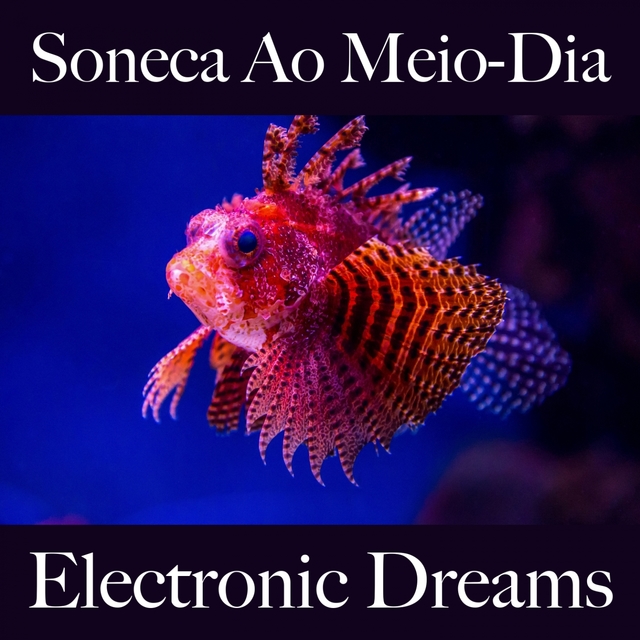 Soneca Ao Meio-Dia: Electronic Dreams - A Melhor Música Para Relaxar