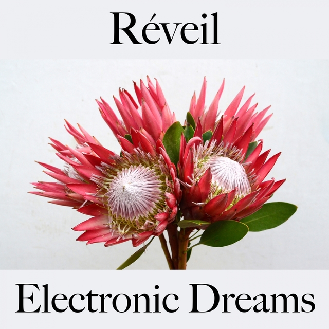 Réveil: Electronic Dreams - La Meilleure Musique Pour Se Détendre