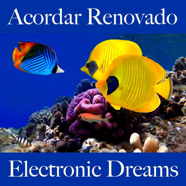 Acordar Renovado: Electronic Dreams - A Melhor Música Para Relaxar