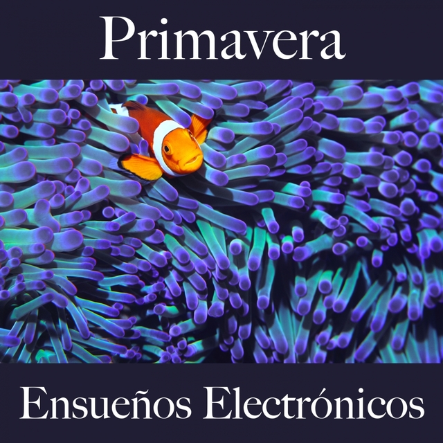 Primavera: Ensueños Electrónicos - La Mejor Música Para Descansarse