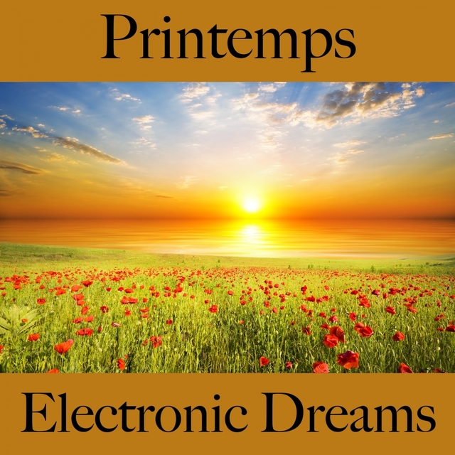 Printemps: Electronic Dreams - La Meilleure Musique Pour Se Détendre