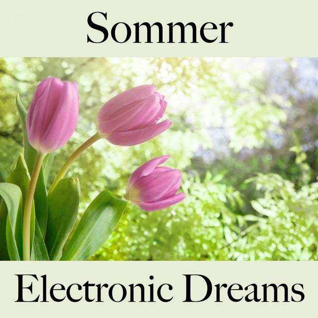 Sommer: Electronic Dreams - Die Beste Musik Zum Entspannen