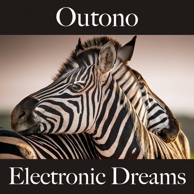 Outono: Electronic Dreams - A Melhor Música Para Relaxar