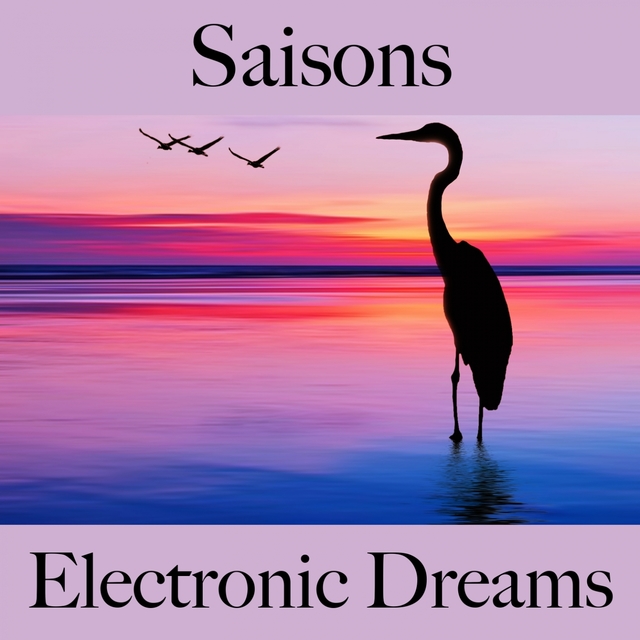 Saisons: Electronic Dreams - La Meilleure Musique Pour Se Détendre