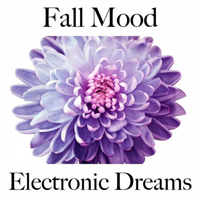 Fall Mood: Electronic Dreams - The Best Music For Relaxation