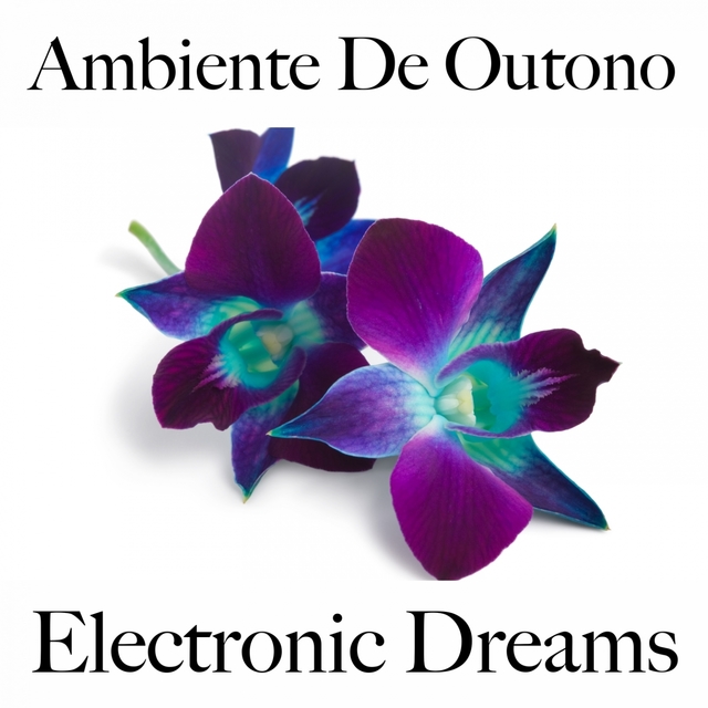 Ambiente De Outono: Electronic Dreams - A Melhor Música Para Relaxar