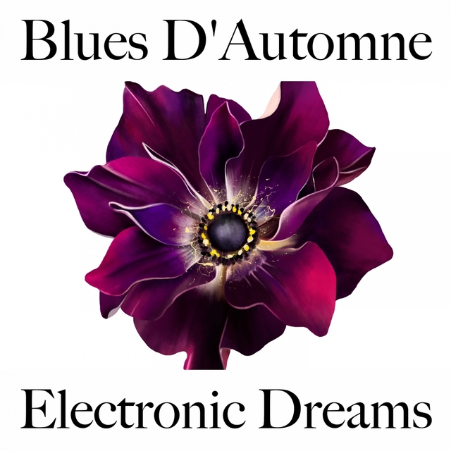 Blues D'Automne: Electronic Dreams - La Meilleure Musique Pour Se Détendre