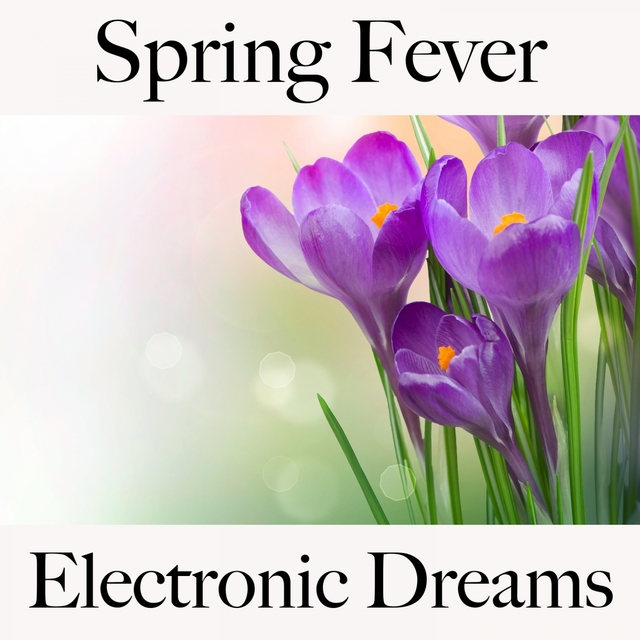 Spring Fever: Electronic Dreams - The Best Music For Relaxation