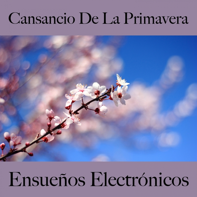 Cansancio De La Primavera: Ensueños Electrónicos - La Mejor Música Para Descansarse