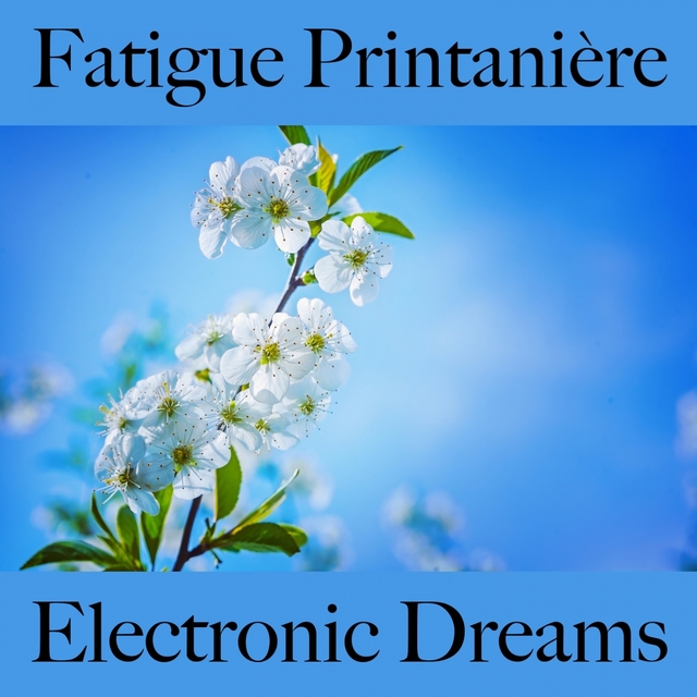 Fatigue Printanière: Electronic Dreams - La Meilleure Musique Pour Se Détendre