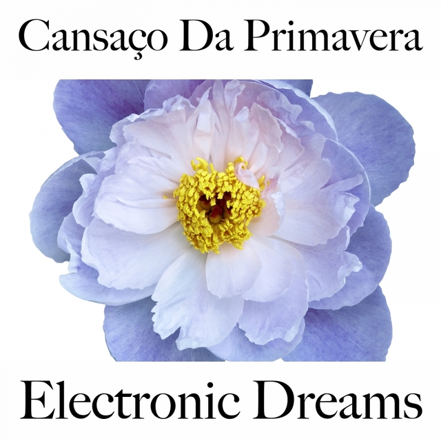 Cansaço Da Primavera: Electronic Dreams - A Melhor Música Para Relaxar