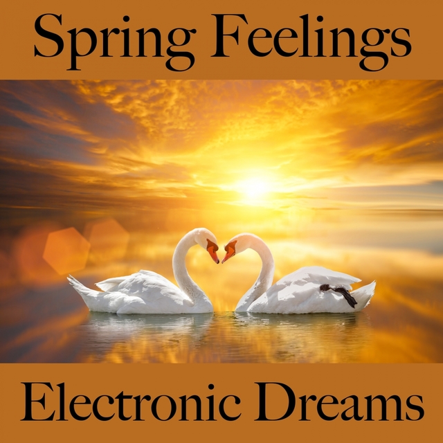 Spring Feelings: Electronic Dreams - The Best Music For Relaxation